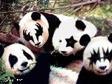 Pandas Lets party!!